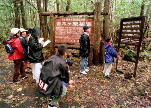 Japonya intihar ormanı