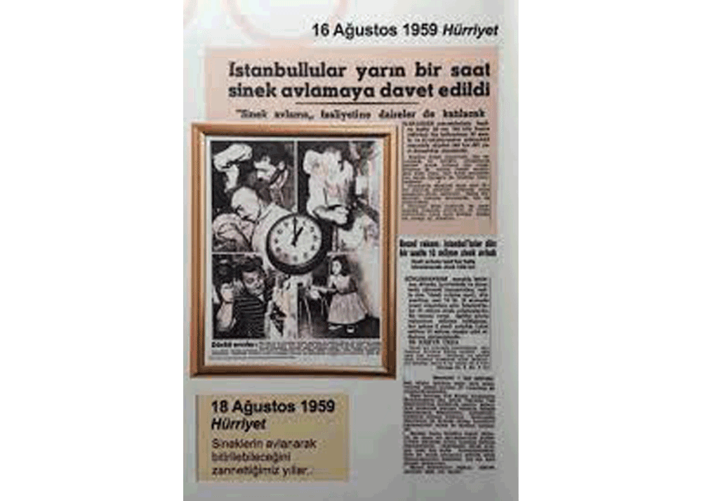 İstanbul Sinek Avı Seferberliği
